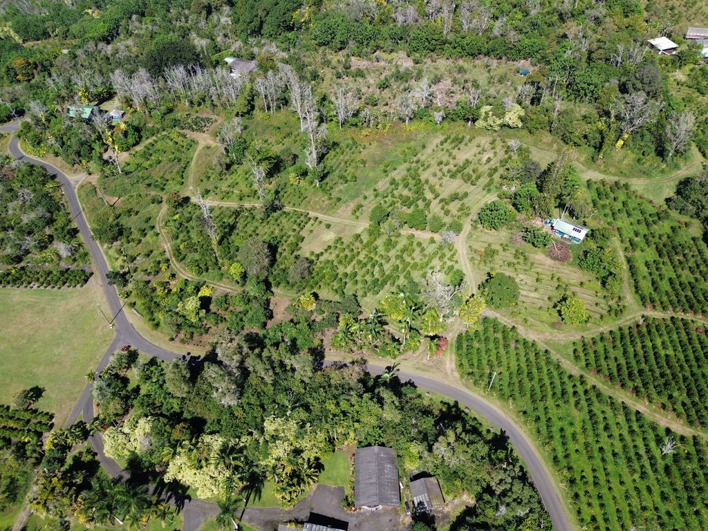 Holualoa, Hawaii, 96725, United States, 3 Bedrooms Bedrooms, ,2 BathroomsBathrooms,Residential,Forsale,1953859