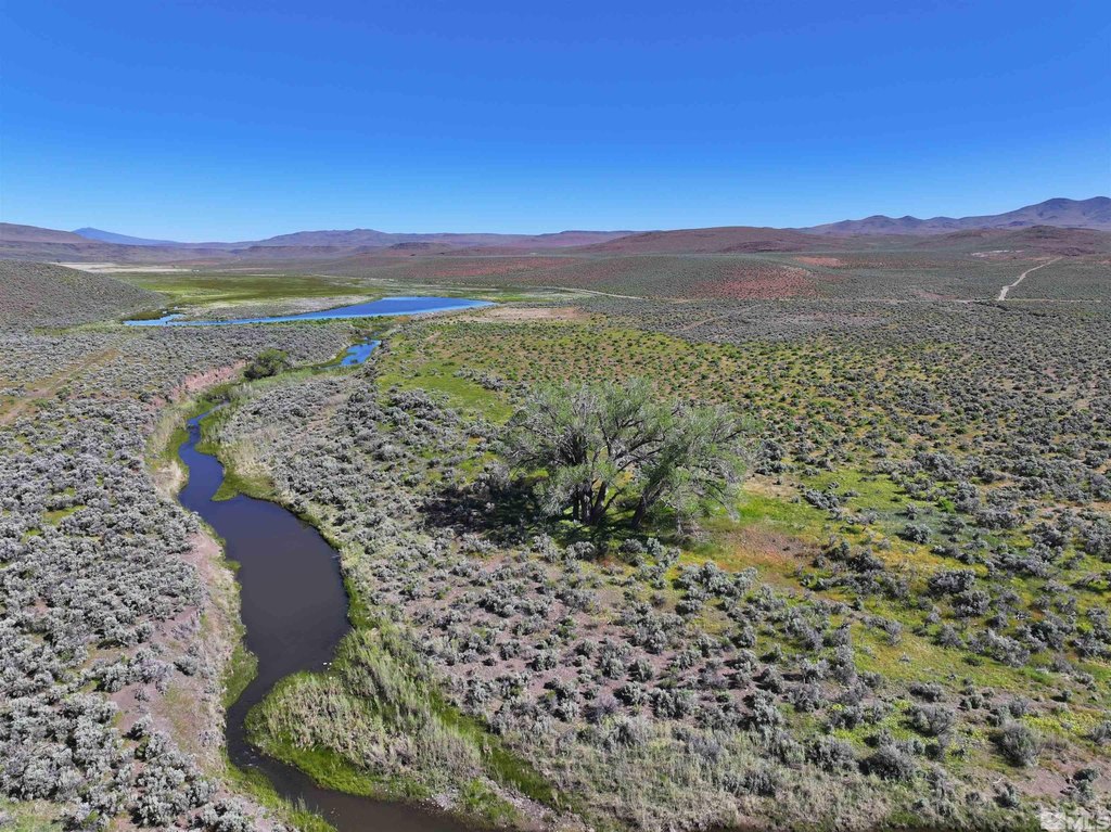 Gerlach, Nevada, 89412, United States, ,Residential,Forsale,1910341