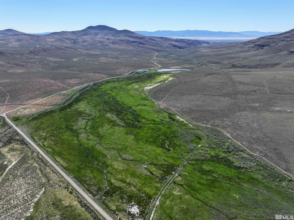 Gerlach, Nevada, 89412, United States, ,Residential,Forsale,1910341
