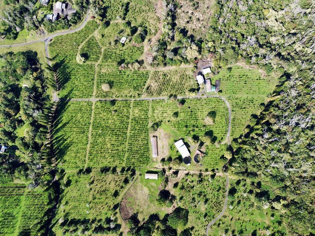 Holualoa, Hawaii, 96725, United States, 3 Bedrooms Bedrooms, ,3 BathroomsBathrooms,Residential,Forsale,1953860