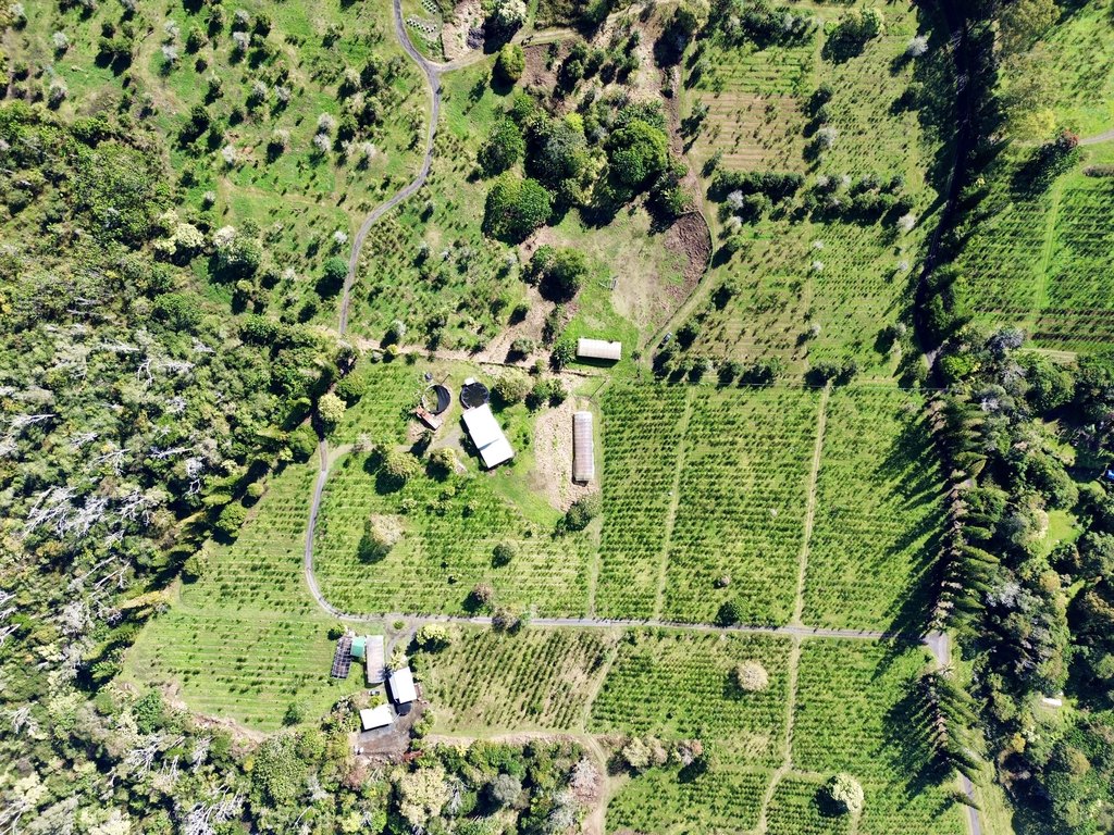 Holualoa, Hawaii, 96725, United States, 3 Bedrooms Bedrooms, ,3 BathroomsBathrooms,Residential,Forsale,1953860