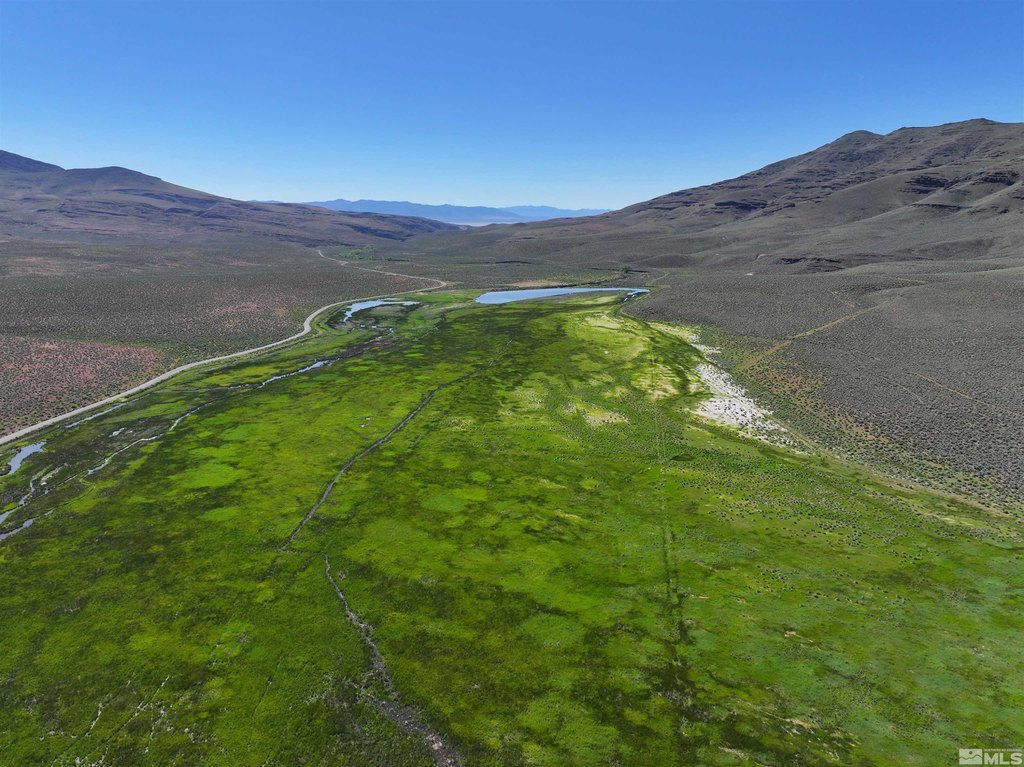 Gerlach, Nevada, 89412, United States, ,Residential,Forsale,1910341