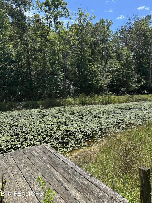 Rockwood, Tennessee, 37854, United States, 3 Bedrooms Bedrooms, ,2 BathroomsBathrooms,Residential,Forsale,1929833