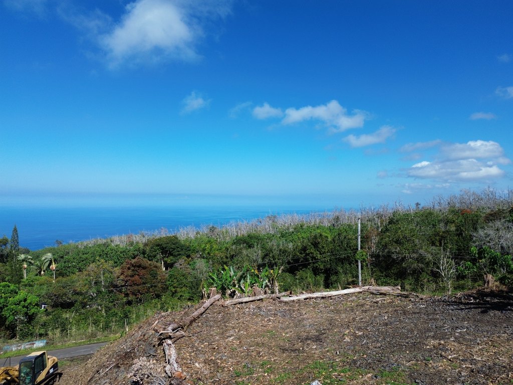 Holualoa, Hawaii, 96725, United States, 3 Bedrooms Bedrooms, ,2 BathroomsBathrooms,Residential,Forsale,1953859