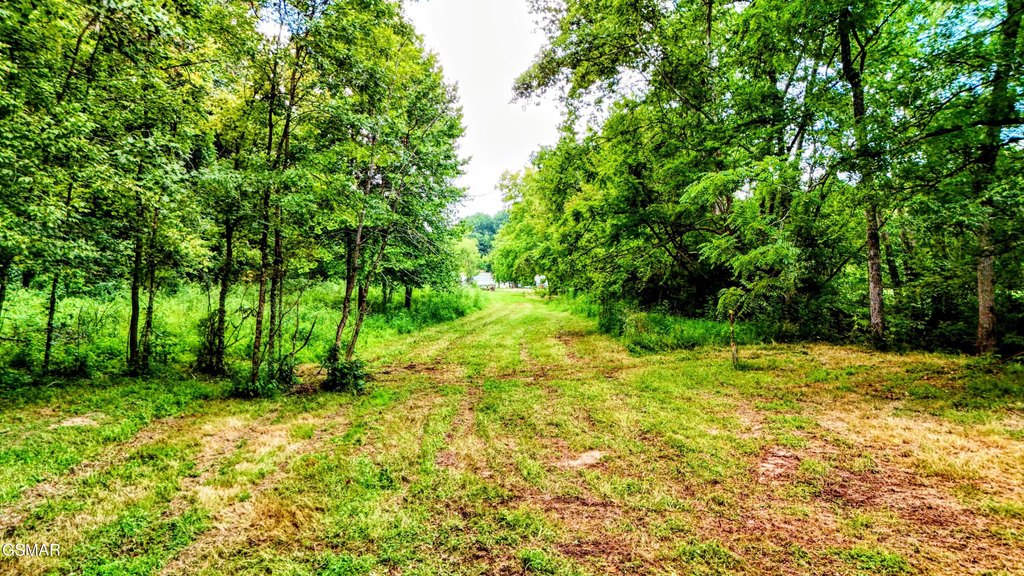 Sevierville, Tennessee, 37876, United States, 3 Bedrooms Bedrooms, ,2 BathroomsBathrooms,Residential,Forsale,1942445