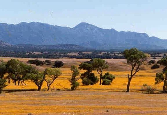 Patagonia, Arizona, 85624, United States, 2 Bedrooms Bedrooms, ,3 BathroomsBathrooms,Residential,Forsale,1919214