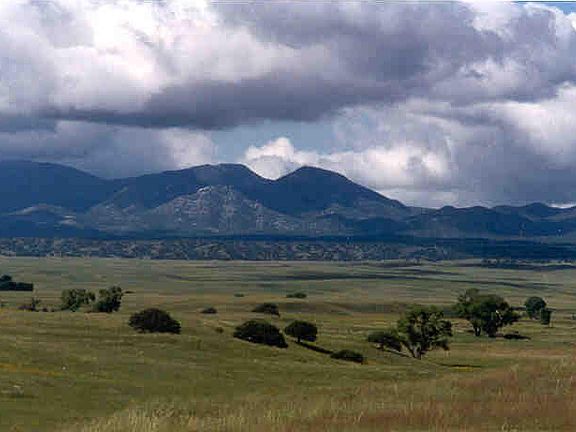 Patagonia, Arizona, 85624, United States, 2 Bedrooms Bedrooms, ,3 BathroomsBathrooms,Residential,Forsale,1919214