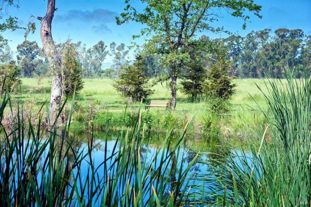 Sonoma, California, 95476, United States, 5 Bedrooms Bedrooms, ,4.5 BathroomsBathrooms,Residential,Forsale,1968170