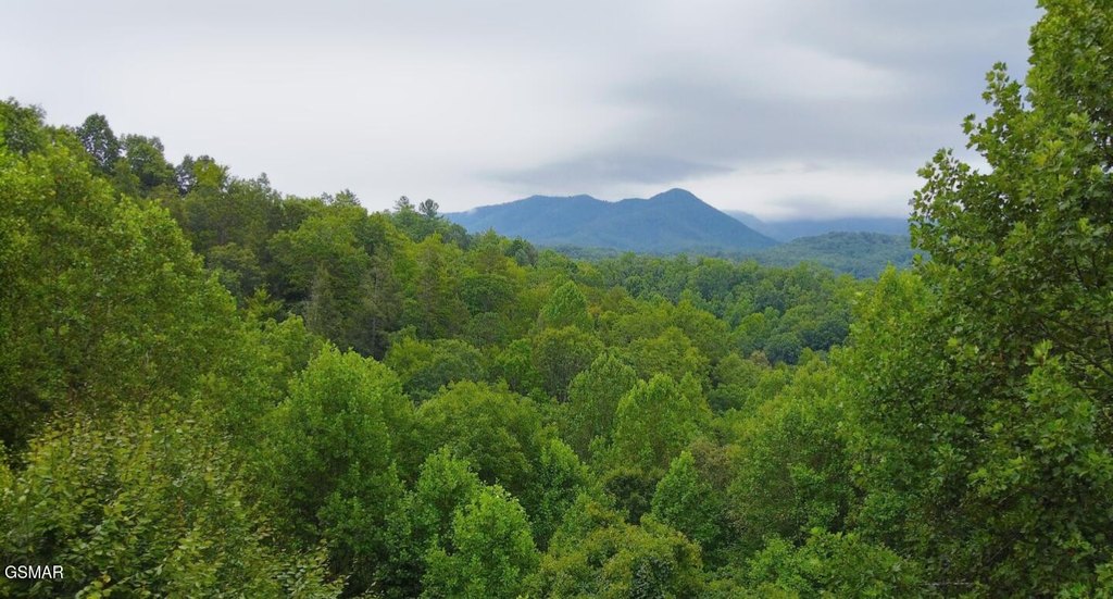 Gatlinburg, Tennessee, 37738, United States, 2 Bedrooms Bedrooms, ,2 BathroomsBathrooms,Residential,Forsale,1910202