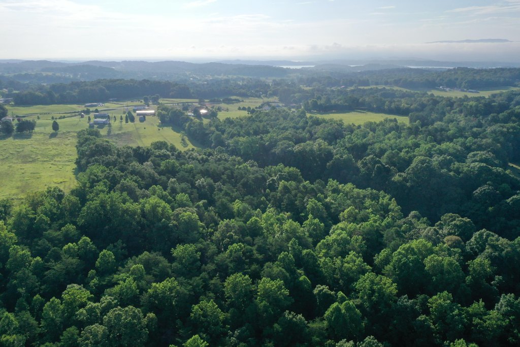 Dandridge, Tennessee, 37725, United States, 3 Bedrooms Bedrooms, ,2 BathroomsBathrooms,Residential,Forsale,1919014