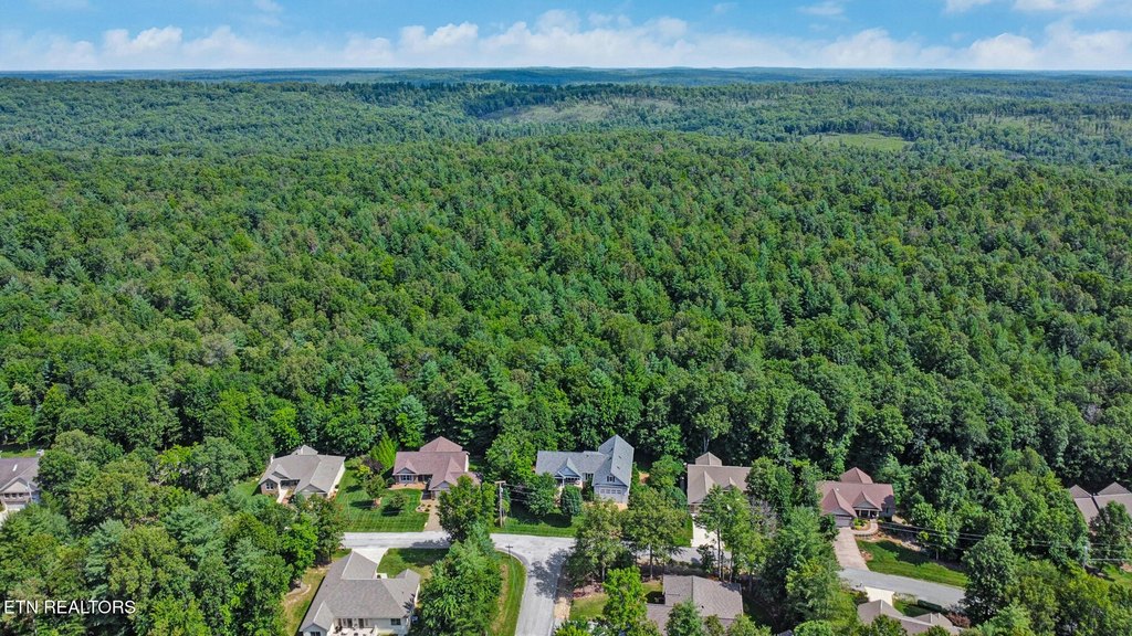 Fairfield Glade, Tennessee, 38558, United States, 4 Bedrooms Bedrooms, ,3.5 BathroomsBathrooms,Residential,Forsale,1929830