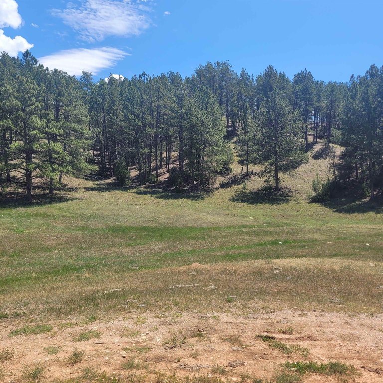 Custer, South Dakota, 57730, United States, 2 Bedrooms Bedrooms, ,1.5 BathroomsBathrooms,Residential,Forsale,1919005