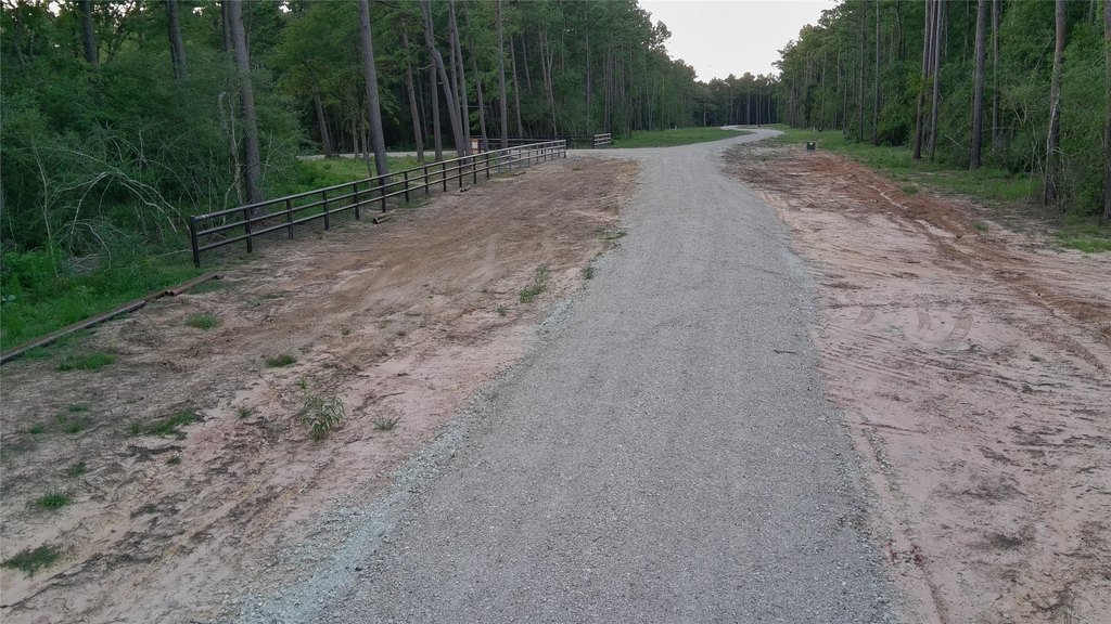 Waller, Texas, 77484, United States, ,Land,Forsale,1973412