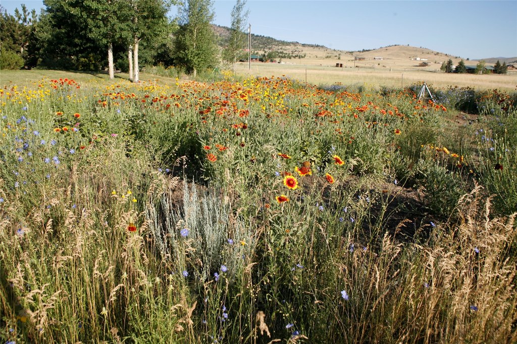 Ennis, Montana, 59729, United States, 5 Bedrooms Bedrooms, ,3 BathroomsBathrooms,Residential,Forsale,1986986