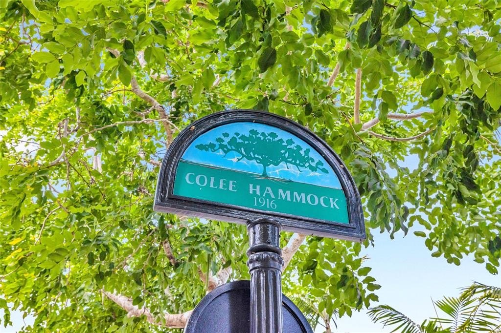 Fort Lauderdale, Florida, 33301, United States, ,Land,Forsale,2004512