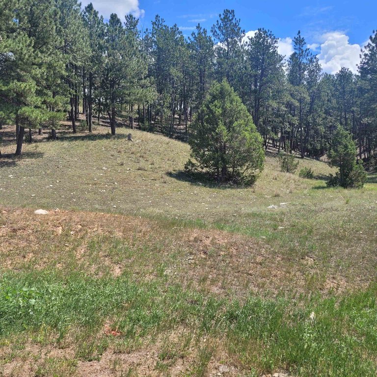 Custer, South Dakota, 57730, United States, 2 Bedrooms Bedrooms, ,1.5 BathroomsBathrooms,Residential,Forsale,1919005