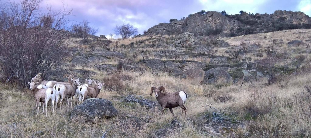 Hamilton, Montana, 59840, United States, ,Land,Forsale,1986971
