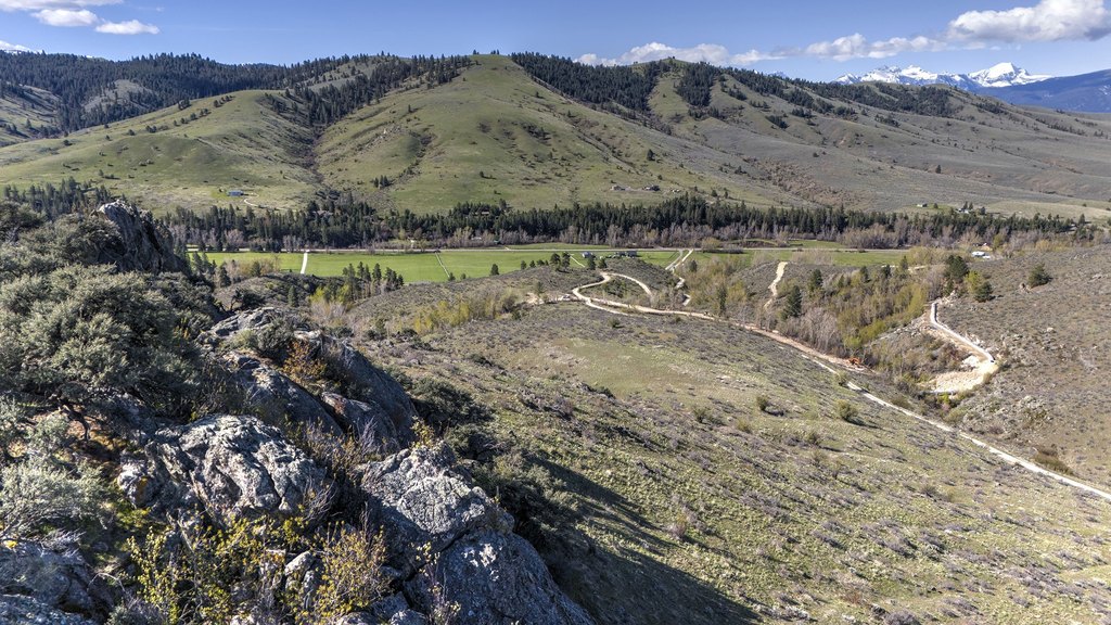 Hamilton, Montana, 59840, United States, ,Land,Forsale,1986971