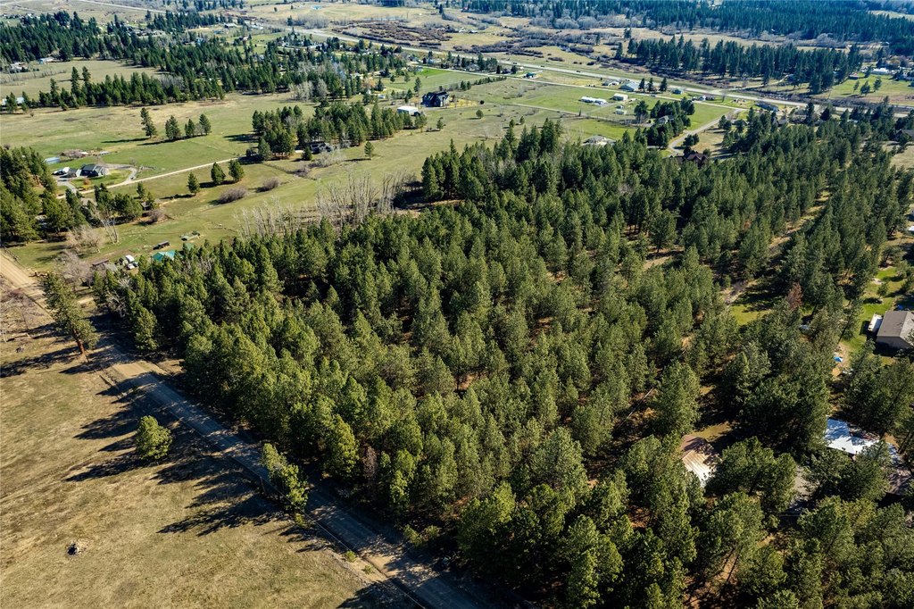 Florence, Montana, 59833, United States, ,Land,Forsale,1941157