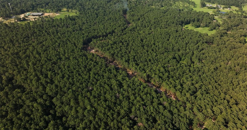 Waller, Texas, 77484, United States, ,Land,Forsale,1973412