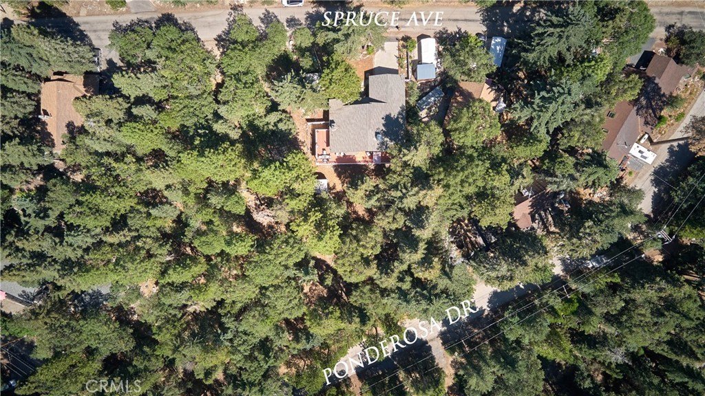 Angelus Oaks, California, 92305, United States, 4 Bedrooms Bedrooms, ,2 BathroomsBathrooms,Residential,Forsale,1960026 Angelus Oaks, California, 92305, United States, 4 Bedrooms Bedrooms, ,2 BathroomsBathrooms,Residential,Forsale,1960026