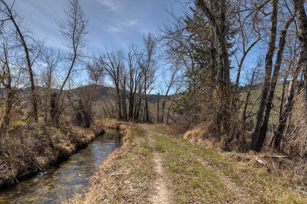 Hamilton, Montana, 59840, United States, ,Land,Forsale,1986971
