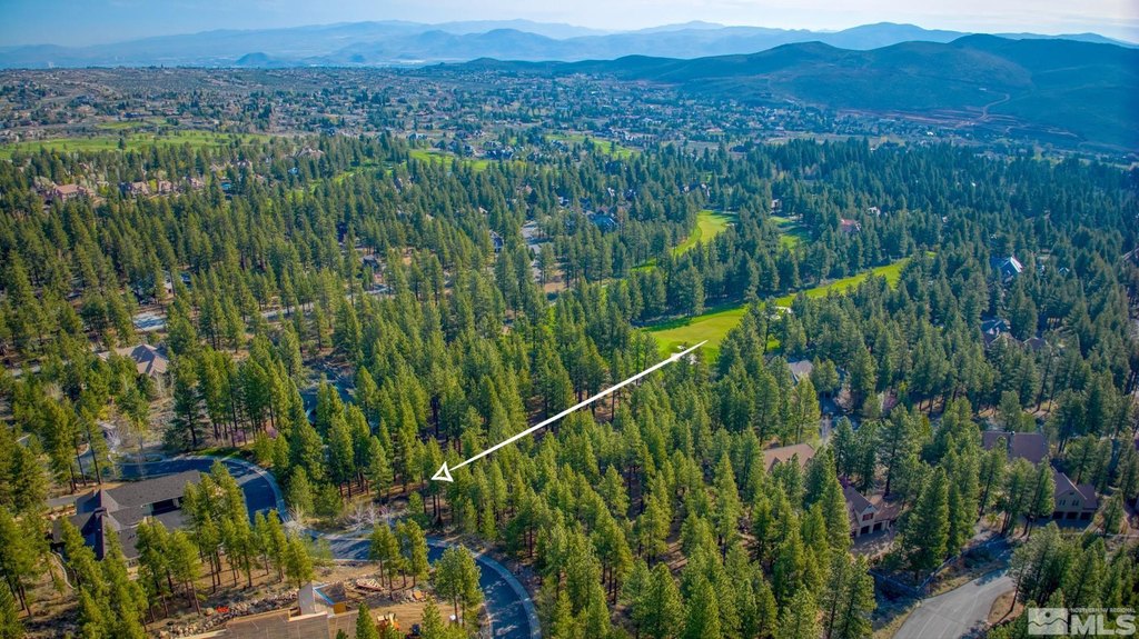 Reno, Nevada, 89511, United States, ,Land,Forsale,1910335
