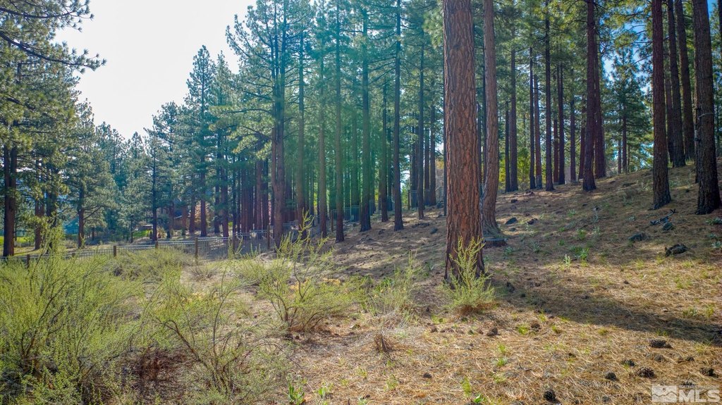 Reno, Nevada, 89511, United States, ,Land,Forsale,1910335