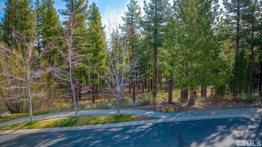 Reno, Nevada, 89511, United States, ,Land,Forsale,1910335