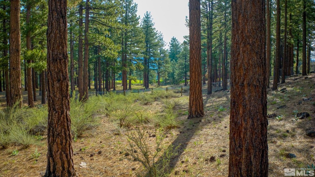 Reno, Nevada, 89511, United States, ,Land,Forsale,1910335