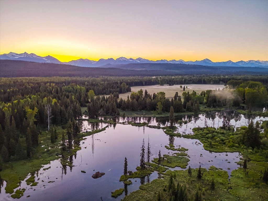 Polebridge, Montana, 59928, United States, ,Land,Forsale,1913811