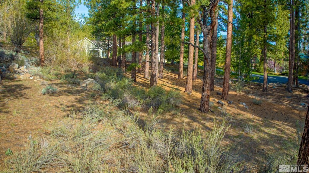 Reno, Nevada, 89511, United States, ,Land,Forsale,1910335