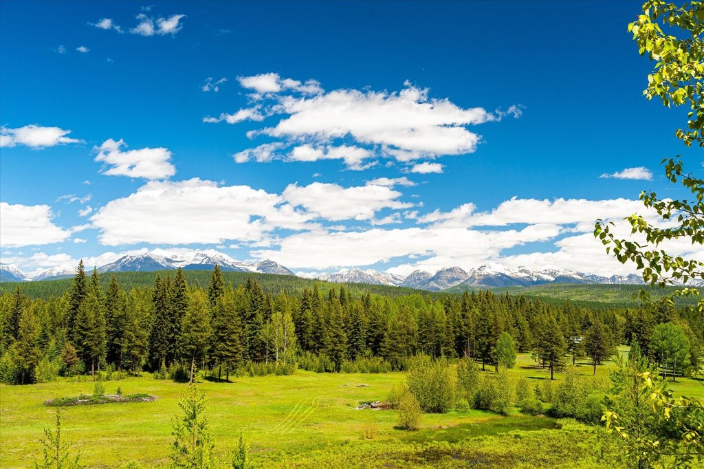 Polebridge, Montana, 59928, United States, ,Land,Forsale,1913811