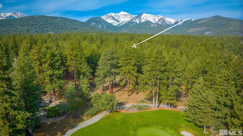 Reno, Nevada, 89511, United States, ,Land,Forsale,1910335
