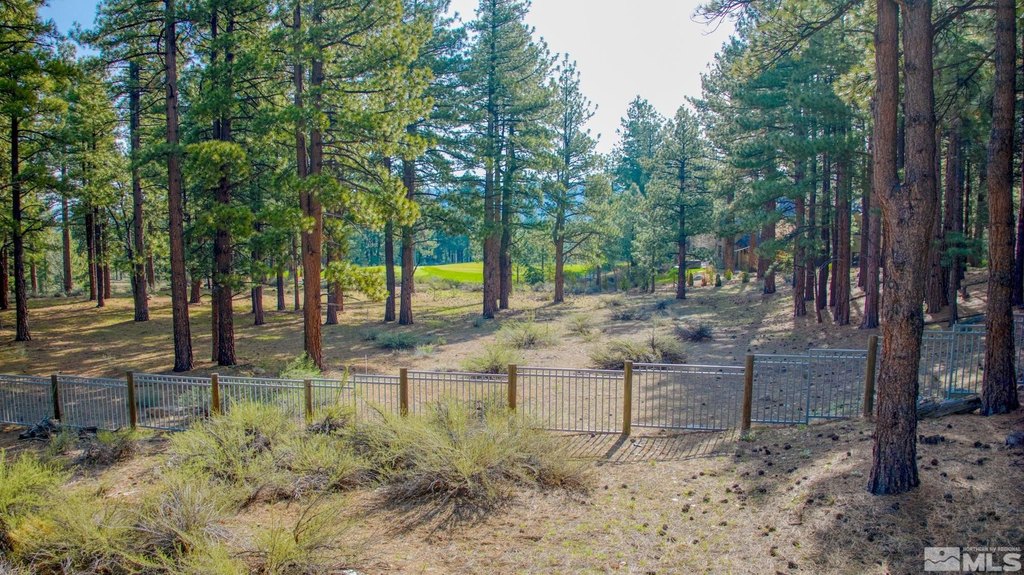 Reno, Nevada, 89511, United States, ,Land,Forsale,1910335