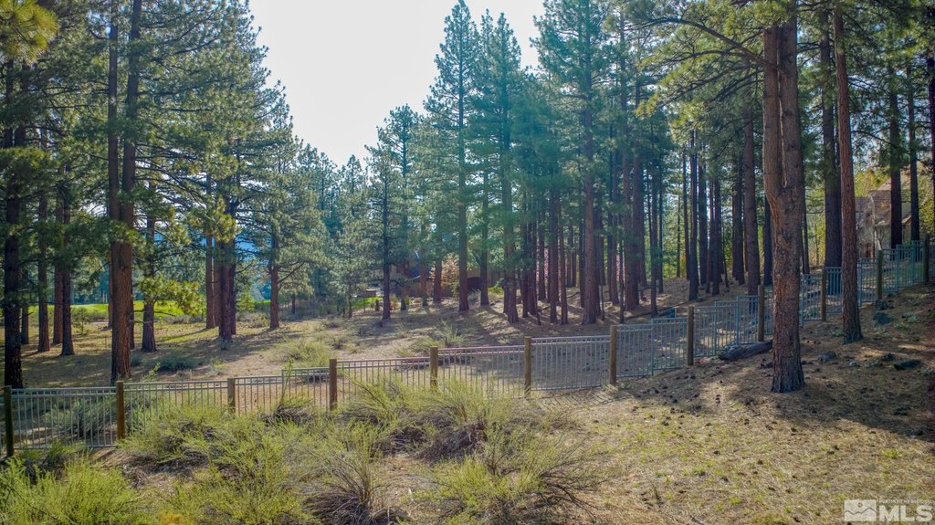 Reno, Nevada, 89511, United States, ,Land,Forsale,1910335