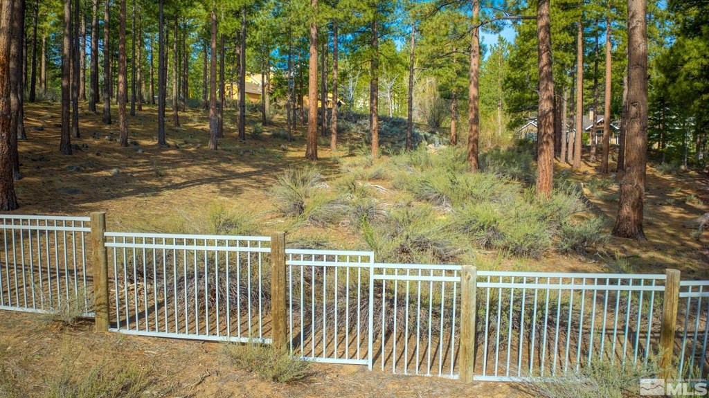 Reno, Nevada, 89511, United States, ,Land,Forsale,1910335