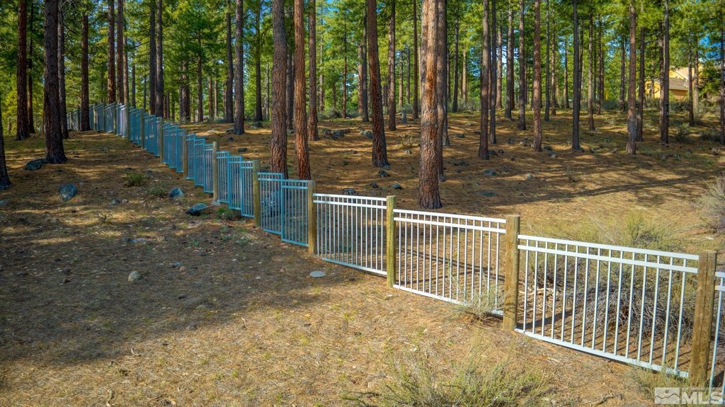 Reno, Nevada, 89511, United States, ,Land,Forsale,1910335