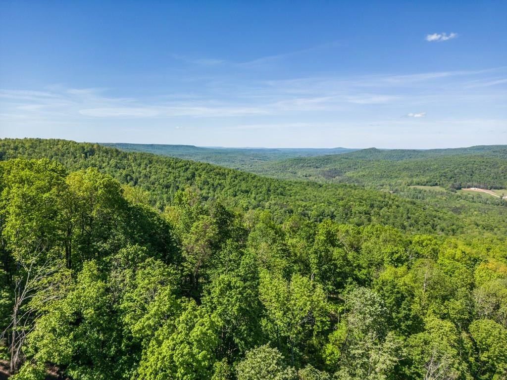 MONTEREY, Tennessee, 38574, United States, 3 Bedrooms Bedrooms, ,2 BathroomsBathrooms,Residential,Forsale,1907888