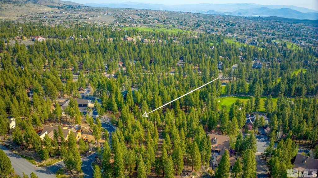Reno, Nevada, 89511, United States, ,Land,Forsale,1910335