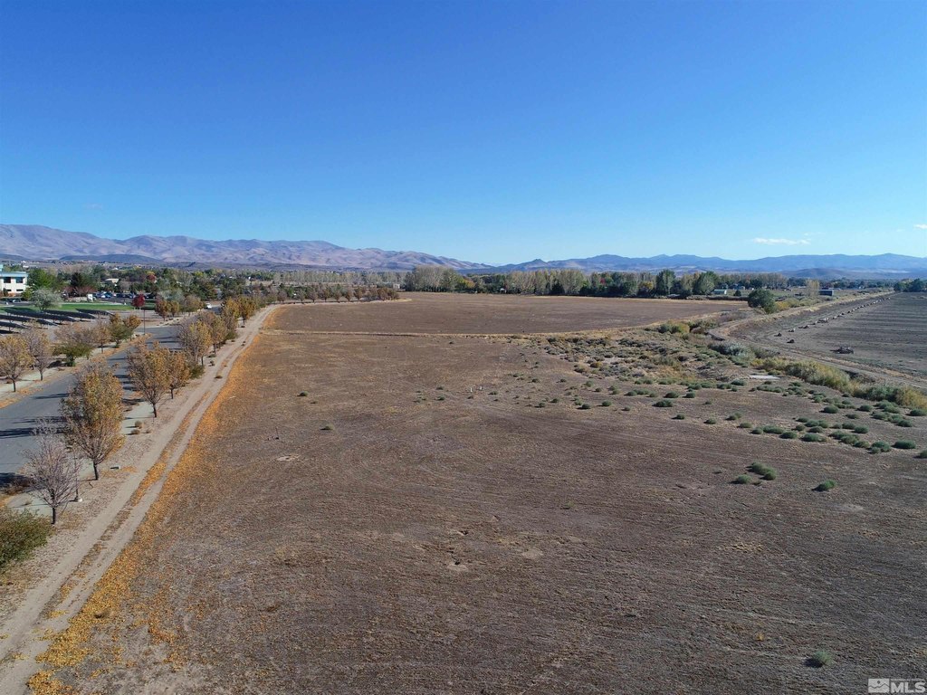 Minden, Nevada, 89423, United States, ,Land,Forsale,1910333