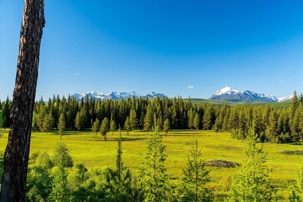 Polebridge, Montana, 59928, United States, ,Land,Forsale,1913811