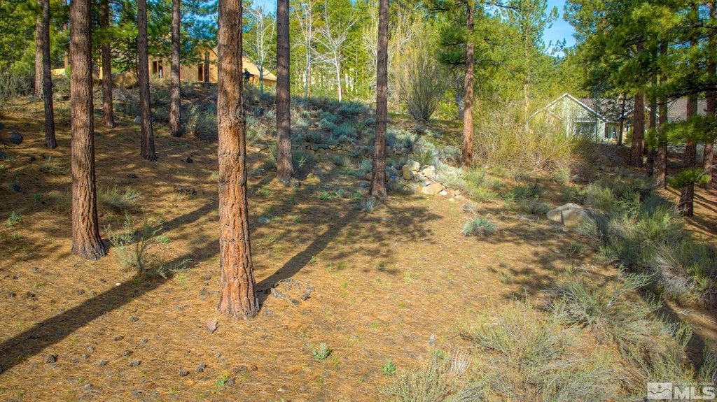 Reno, Nevada, 89511, United States, ,Land,Forsale,1910335