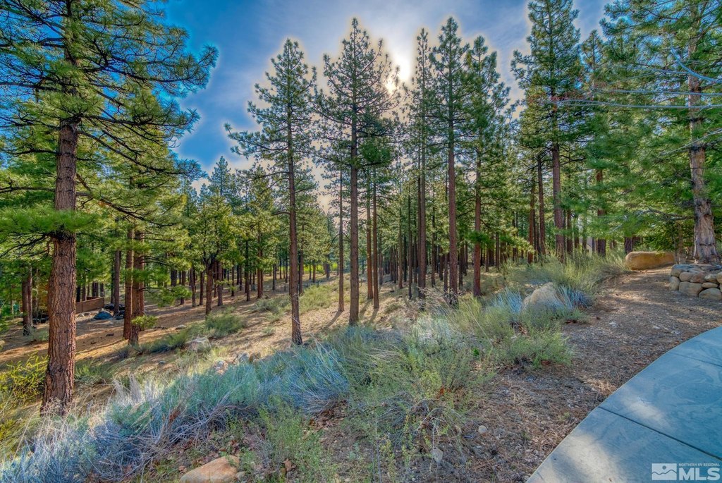 Reno, Nevada, 89511, United States, ,Land,Forsale,1910335