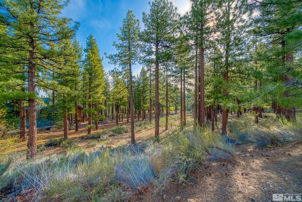Reno, Nevada, 89511, United States, ,Land,Forsale,1910335