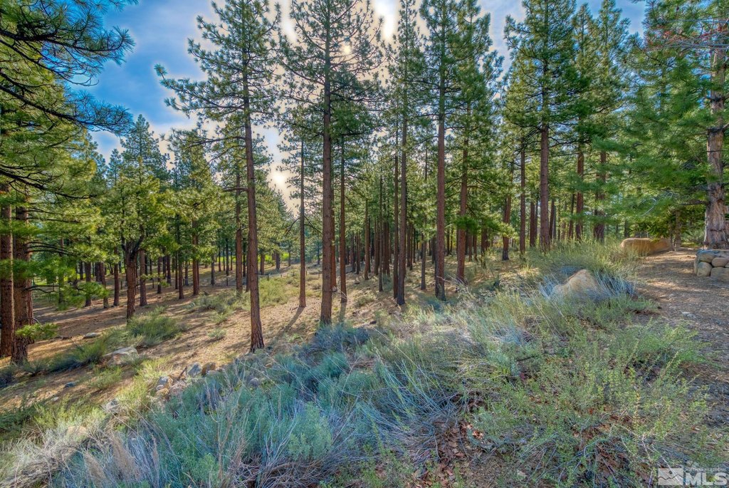 Reno, Nevada, 89511, United States, ,Land,Forsale,1910335