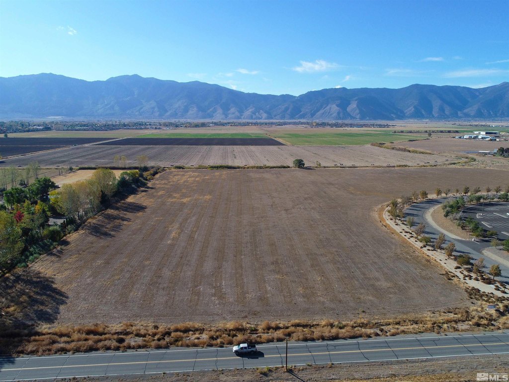 Minden, Nevada, 89423, United States, ,Land,Forsale,1910333