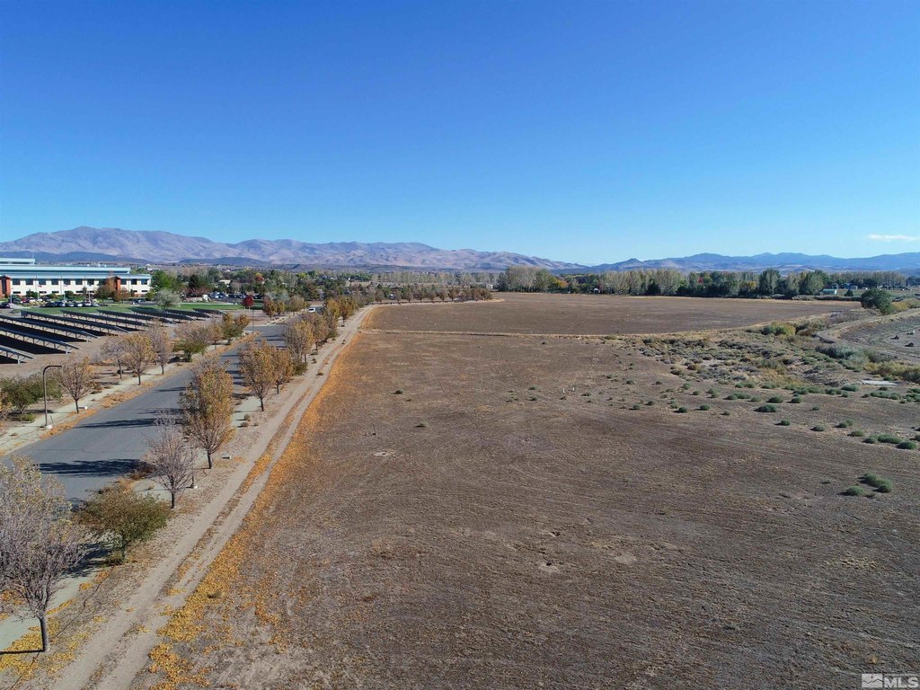 Minden, Nevada, 89423, United States, ,Land,Forsale,1910333