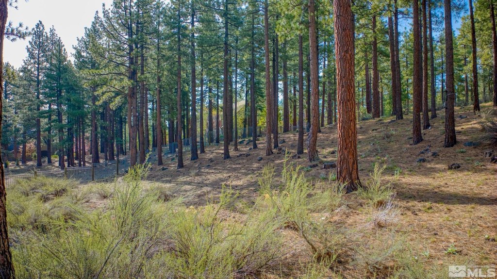Reno, Nevada, 89511, United States, ,Land,Forsale,1910335