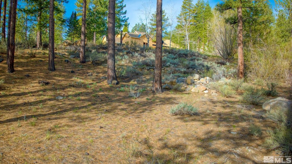 Reno, Nevada, 89511, United States, ,Land,Forsale,1910335